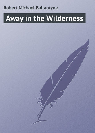 Обложка книги «Away in the Wilderness»