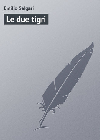 Обложка книги «Le due tigri»