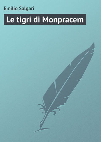 Обложка книги «Le tigri di Monpracem»