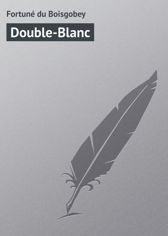Обложка книги «Double-Blanc»