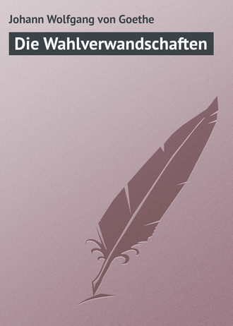 Обложка книги «Die Wahlverwandschaften»