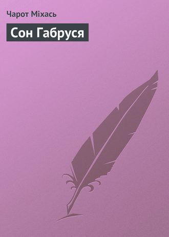 Обложка книги «Сон Габруся»