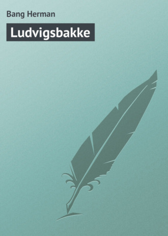 Обложка книги «Ludvigsbakke»