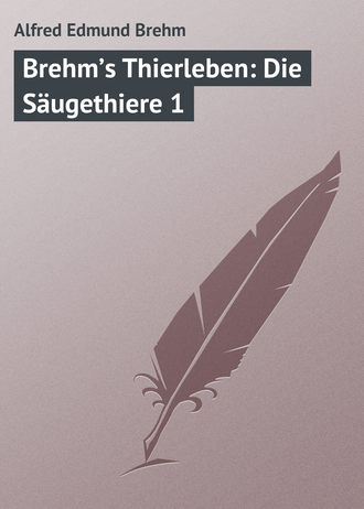 Обложка книги «Brehm’s Thierleben: Die Säugethiere 1»