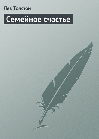 Обложка книги «Семейное счастье»
