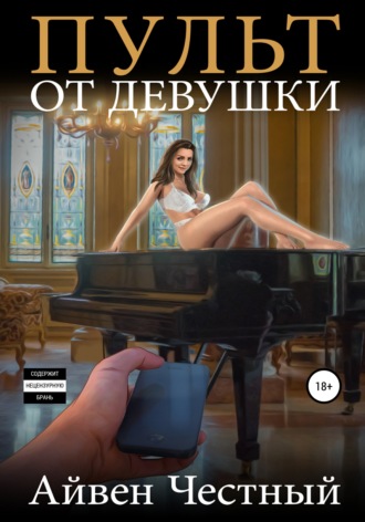 Обложка книги «Пульт от девушки»