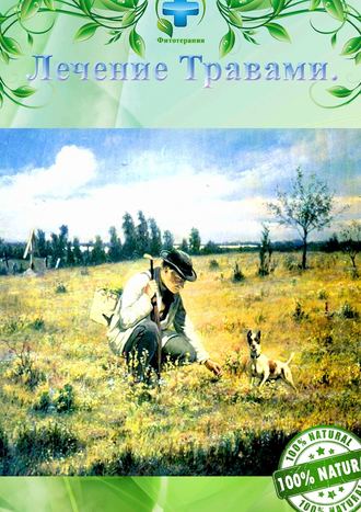 Обложка книги «Лечение травами. Фитотерапия»