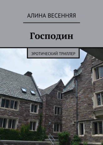 Алина Весенняя. Господин. Эротический триллер