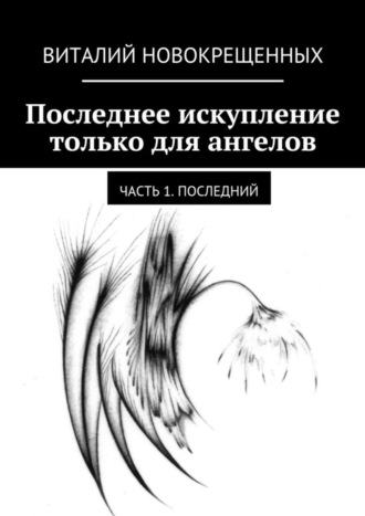 Виталий Новокрещенных. Последнее искупление только для ангелов. Часть 1. Последний