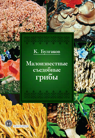 Обложка книги «Малоизвестные съедобные грибы»