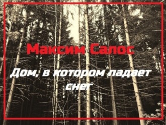 Обложка книги «Дом, в котором падает снег»