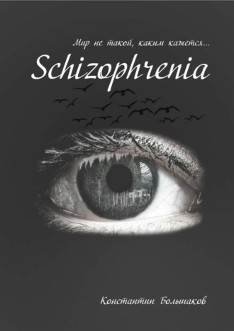 Константин Большаков. Schizophrenia. Мир не такой, каким кажется