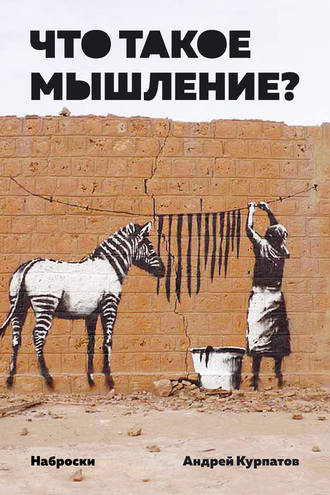Обложка книги «Что такое мышление? Наброски»