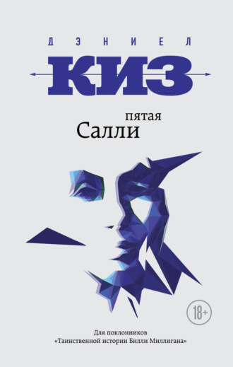 Обложка книги «Пятая Салли»