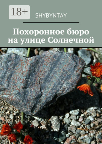 Обложка книги «Похоронное бюро на улице Солнечной»