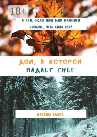 Обложка книги «Дом, в котором падает снег»