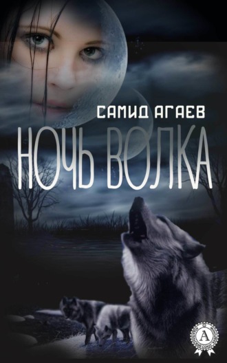 Обложка книги «Ночь Волка»