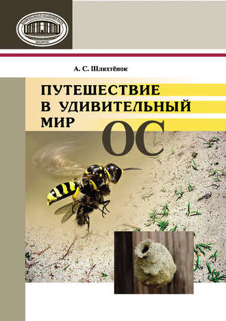 А. С. Шляхтенок. Путешествие в удивительный мир ос