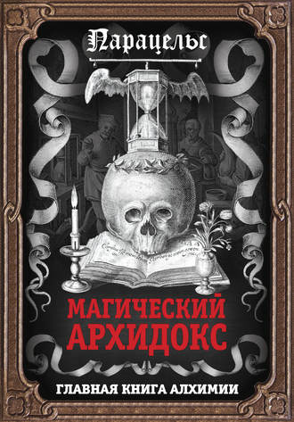 Обложка книги «Магический архидокс»