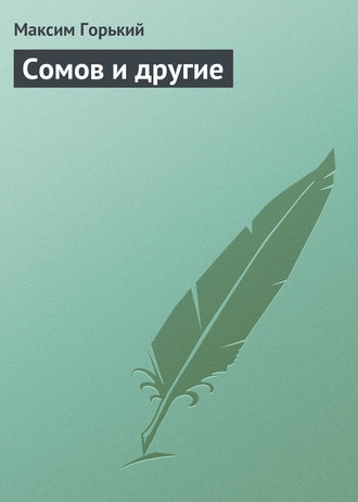 Обложка книги «Сомов и другие»