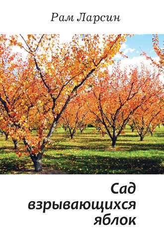 Обложка книги «Сад взрывающихся яблок (сборник)»