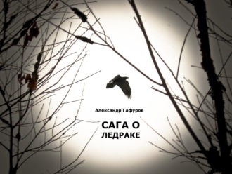 Обложка книги «Сага о Ледраке»