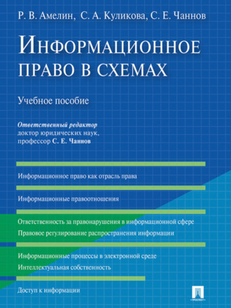 Роман Владимирович Амелин. Информационное право в схемах. Учебное пособие