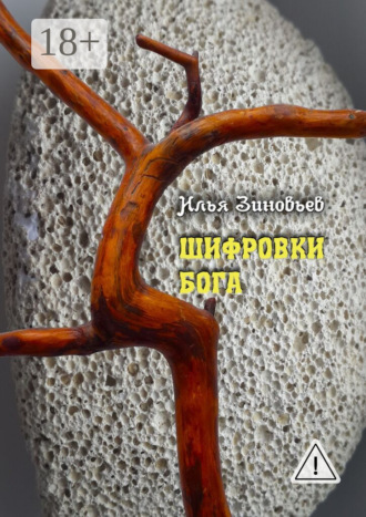 Обложка книги «ШИФРОВКИ БОГА»