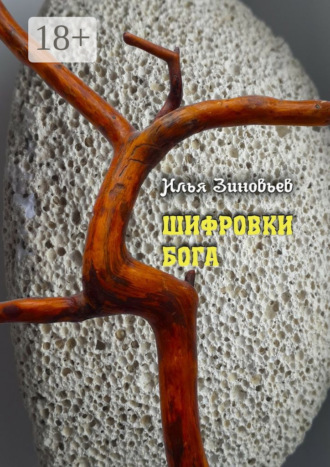 Илья Зиновьев. ШИФРОВКИ БОГА