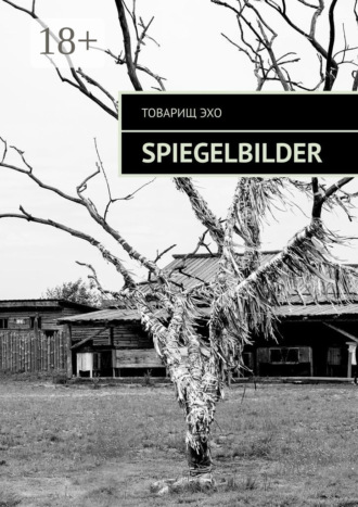 Обложка книги «Spiegelbilder»