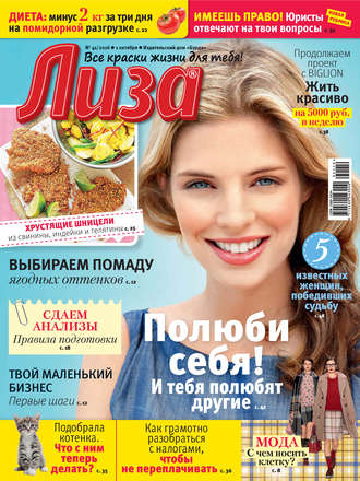 Обложка книги «Журнал «Лиза» №41/2016»