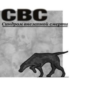 Обложка книги «СВС (Синдром Внезапной Смерти)»