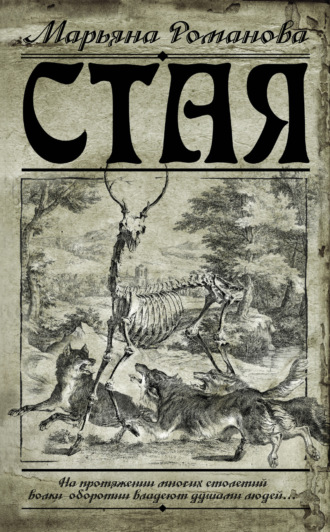Обложка книги «Стая»