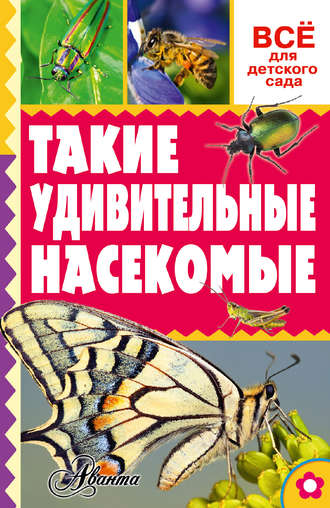 Александр Тихонов. Такие удивительные насекомые