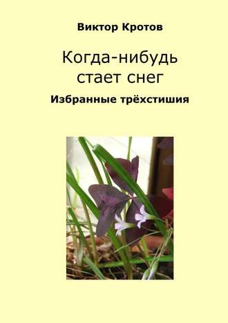 Обложка книги «Когда-нибудь стает снег. Избранные трёхстишия»