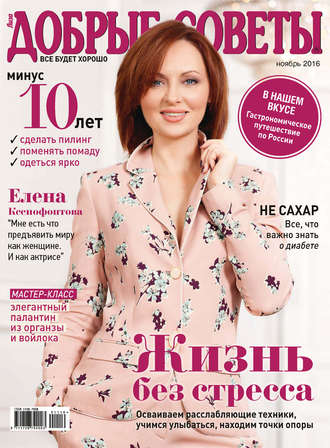 Обложка книги «Добрые советы №11/2016»