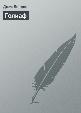 Обложка книги «Голиаф»