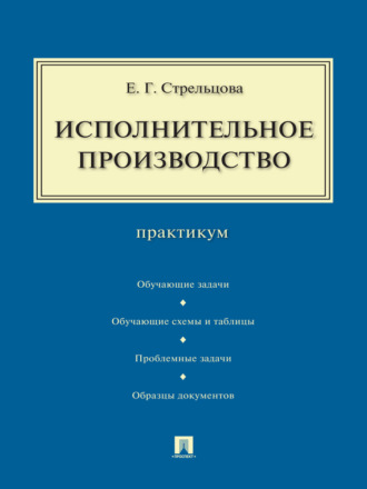 Елена Геннадьевна Стрельцова. Исполнительное производство. Практикум