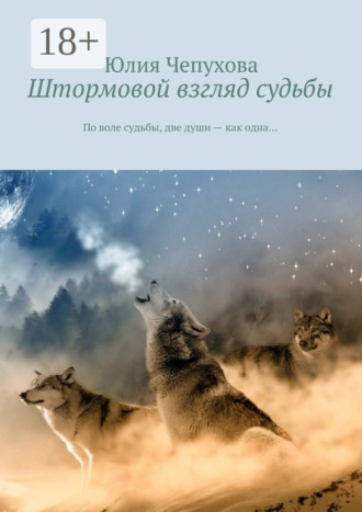 Обложка книги «Штормовой взгляд судьбы. По воле судьбы, две души – как одна…»