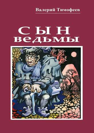 Обложка книги «Сын ведьмы. Волшебная сказка»
