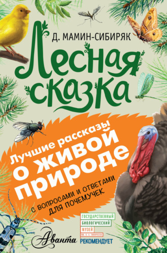 Обложка книги «Лесная сказка. С вопросами и ответами для почемучек»
