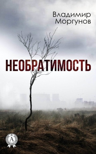 Обложка книги «Необратимость»