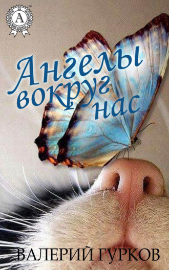Обложка книги «Ангелы вокруг нас»