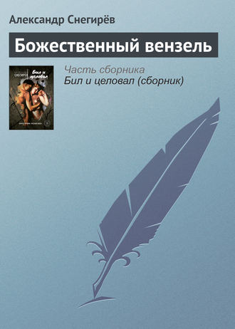 Обложка книги «Божественный вензель»