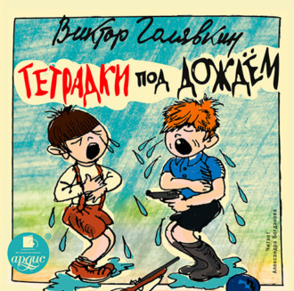 Обложка книги «Тетрадки под дождём»