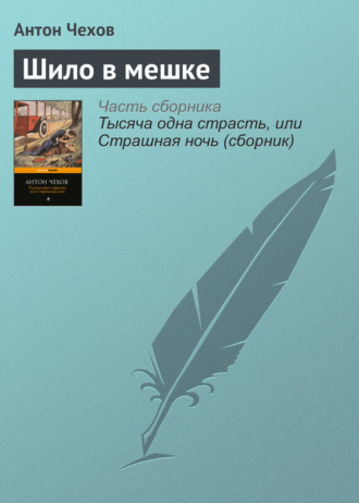 Обложка книги «Шило в мешке»