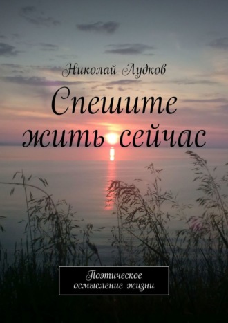 Николай Анатольевич Лудков. Спешите жить сейчас. Поэтическое осмысление жизни