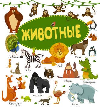 Обложка книги «Животные»