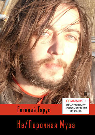 Обложка книги «Не/Порочная Муза»