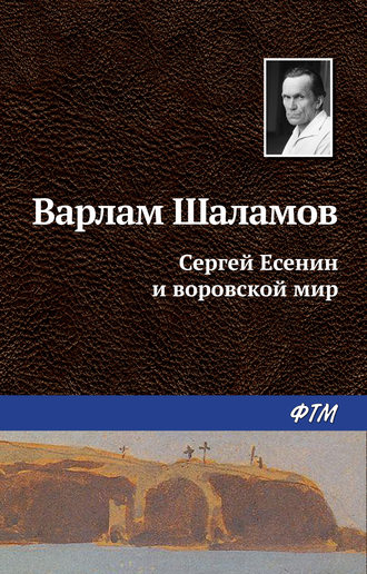 Обложка книги «Сергей Есенин и воровской мир»